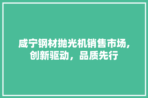 咸宁钢材抛光机销售市场,创新驱动，品质先行