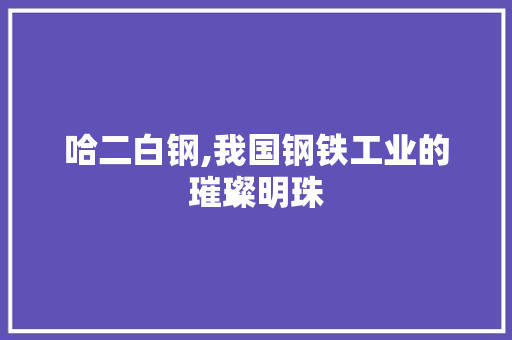 哈二白钢,我国钢铁工业的璀璨明珠
