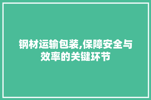 钢材运输包装,保障安全与效率的关键环节