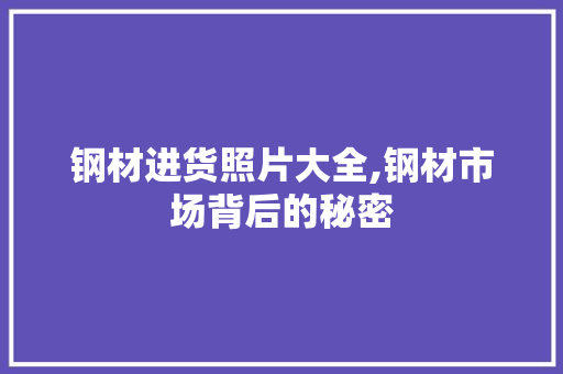 钢材进货照片大全,钢材市场背后的秘密