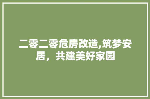 二零二零危房改造,筑梦安居，共建美好家园