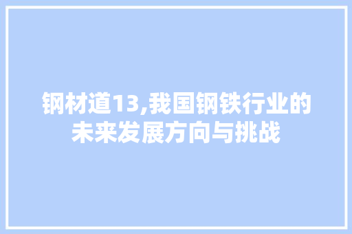 钢材道13,我国钢铁行业的未来发展方向与挑战