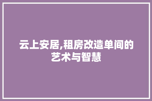 云上安居,租房改造单间的艺术与智慧