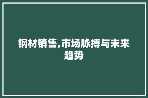 钢材销售,市场脉搏与未来趋势
