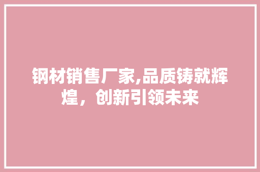 钢材销售厂家,品质铸就辉煌，创新引领未来