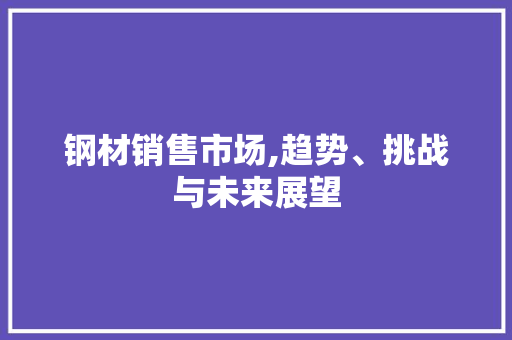 钢材销售市场,趋势、挑战与未来展望