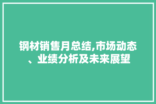 钢材销售月总结,市场动态、业绩分析及未来展望