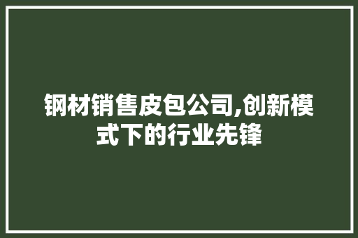 钢材销售皮包公司,创新模式下的行业先锋