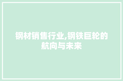 钢材销售行业,钢铁巨轮的航向与未来