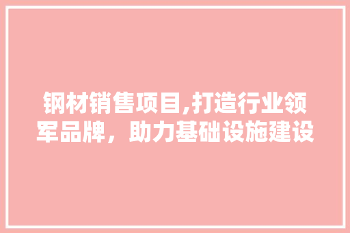 钢材销售项目,打造行业领军品牌，助力基础设施建设