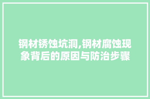 钢材锈蚀坑洞,钢材腐蚀现象背后的原因与防治步骤