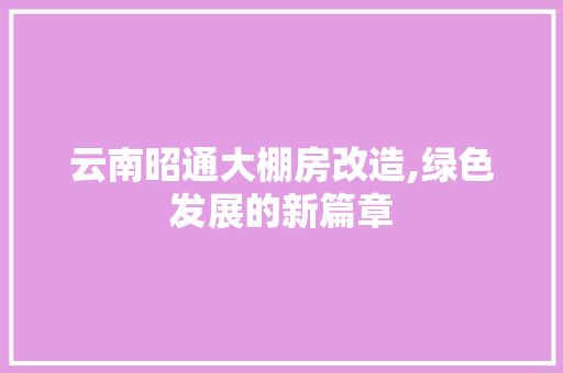 云南昭通大棚房改造,绿色发展的新篇章