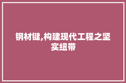 钢材键,构建现代工程之坚实纽带