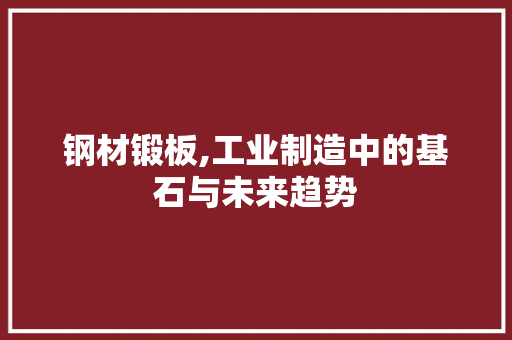钢材锻板,工业制造中的基石与未来趋势
