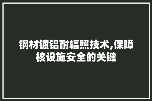 钢材镀铝耐辐照技术,保障核设施安全的关键