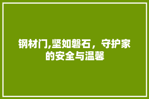钢材门,坚如磐石，守护家的安全与温馨