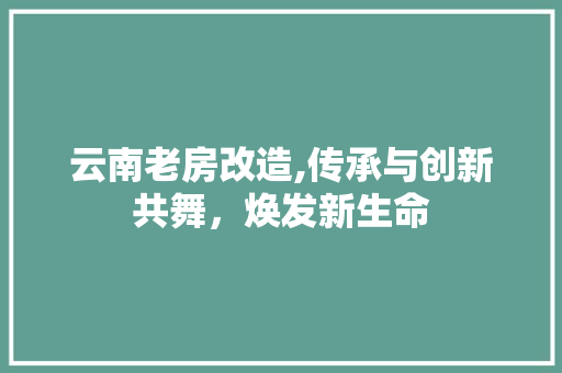 云南老房改造,传承与创新共舞，焕发新生命