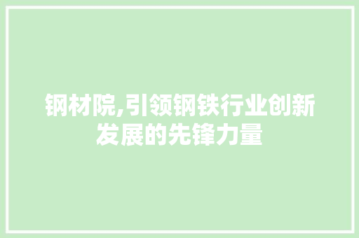 钢材院,引领钢铁行业创新发展的先锋力量