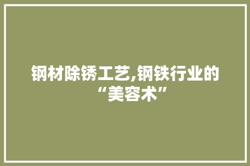 钢材除锈工艺,钢铁行业的“美容术”
