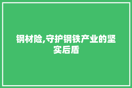 钢材险,守护钢铁产业的坚实后盾