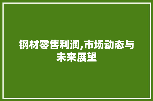 钢材零售利润,市场动态与未来展望