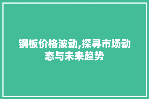 钢板价格波动,探寻市场动态与未来趋势