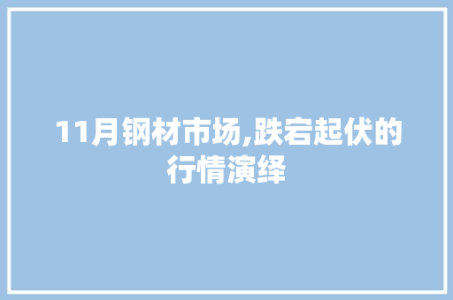 11月钢材市场,跌宕起伏的行情演绎