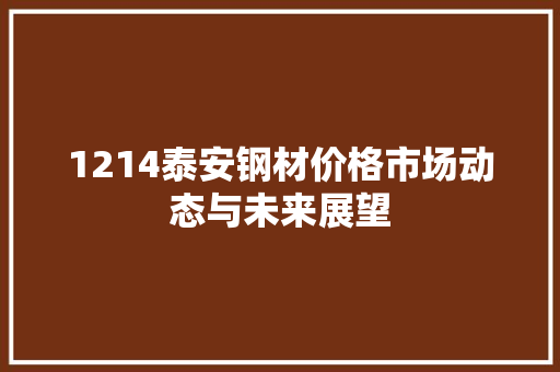 1214泰安钢材价格市场动态与未来展望