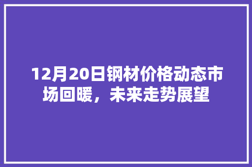 12月20日钢材价格动态市场回暖，未来走势展望