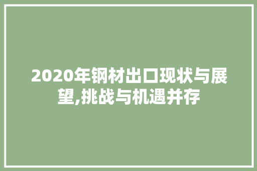 2020年钢材出口现状与展望,挑战与机遇并存