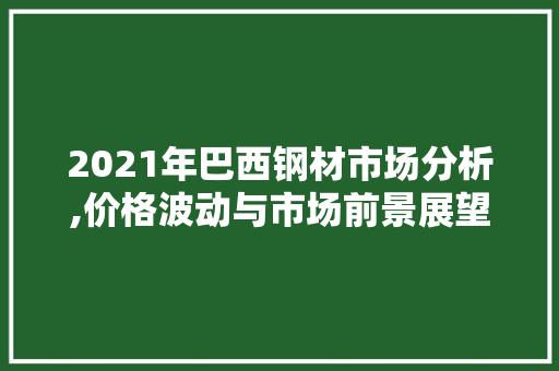 2021年巴西钢材市场分析,价格波动与市场前景展望