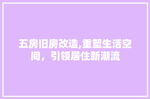 五房旧房改造,重塑生活空间，引领居住新潮流