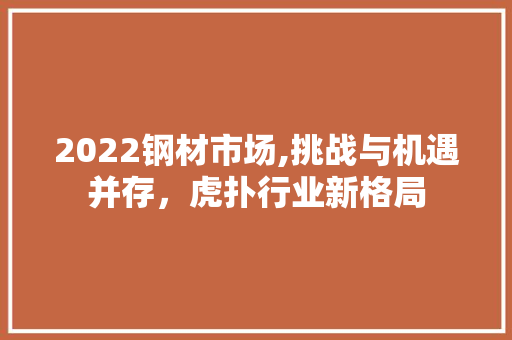 2022钢材市场,挑战与机遇并存，虎扑行业新格局