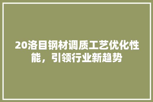 20洛目钢材调质工艺优化性能，引领行业新趋势