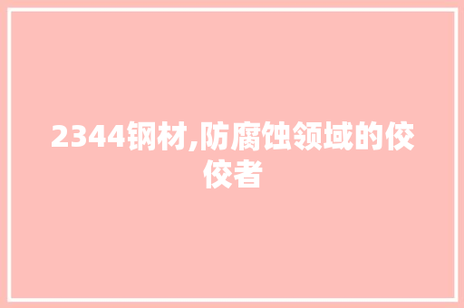 2344钢材,防腐蚀领域的佼佼者