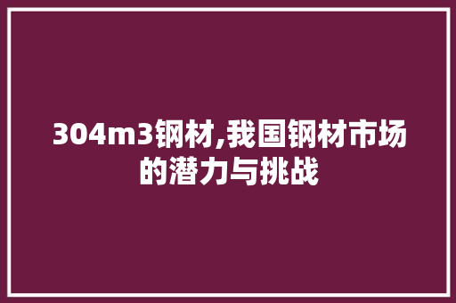 304m3钢材,我国钢材市场的潜力与挑战