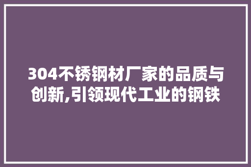 304不锈钢材厂家的品质与创新,引领现代工业的钢铁先锋
