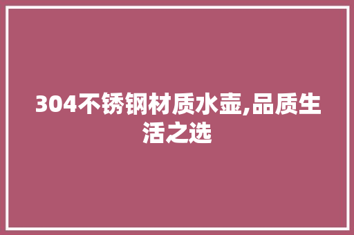 304不锈钢材质水壶,品质生活之选