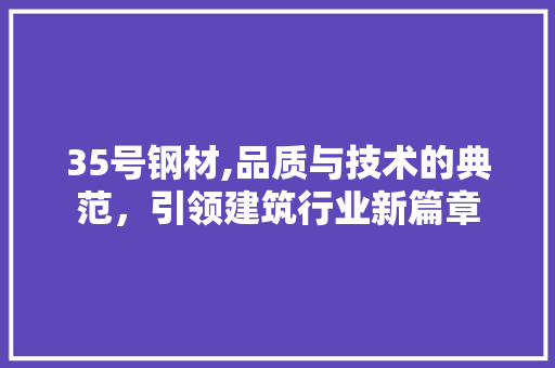 35号钢材,品质与技术的典范，引领建筑行业新篇章