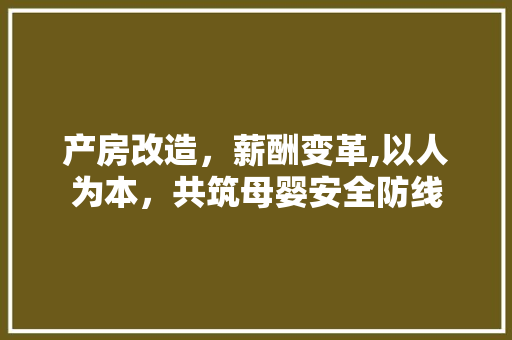 产房改造，薪酬变革,以人为本，共筑母婴安全防线