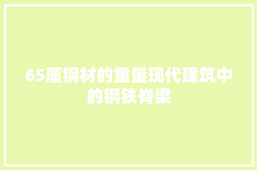 65厘钢材的重量现代建筑中的钢铁脊梁