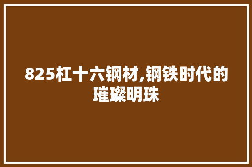 825杠十六钢材,钢铁时代的璀璨明珠