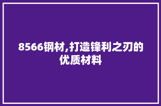 8566钢材,打造锋利之刃的优质材料