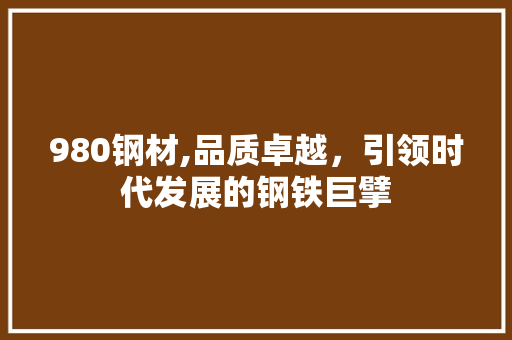 980钢材,品质卓越，引领时代发展的钢铁巨擘