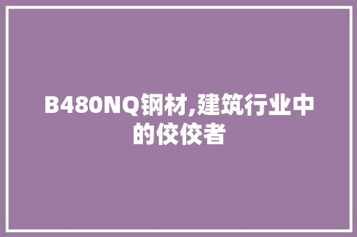 B480NQ钢材,建筑行业中的佼佼者