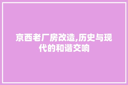 京西老厂房改造,历史与现代的和谐交响