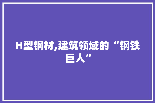H型钢材,建筑领域的“钢铁巨人”