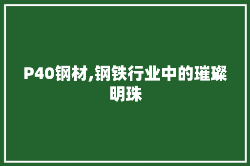 P40钢材,钢铁行业中的璀璨明珠