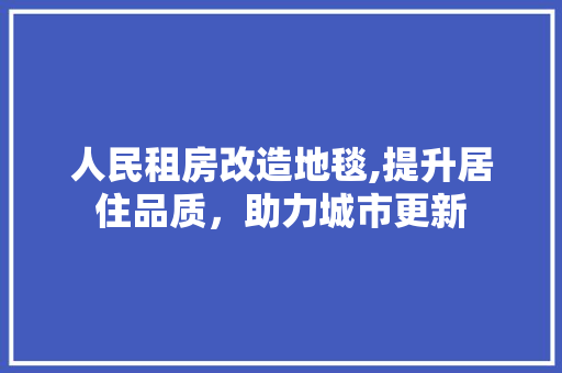 人民租房改造地毯,提升居住品质，助力城市更新