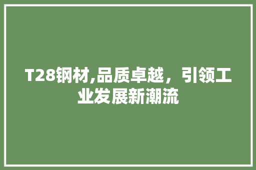 T28钢材,品质卓越，引领工业发展新潮流